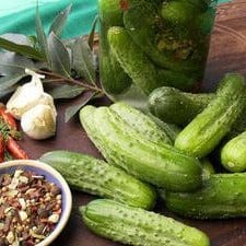 Cucumber Endeavor - Renee's Garden - Image 3