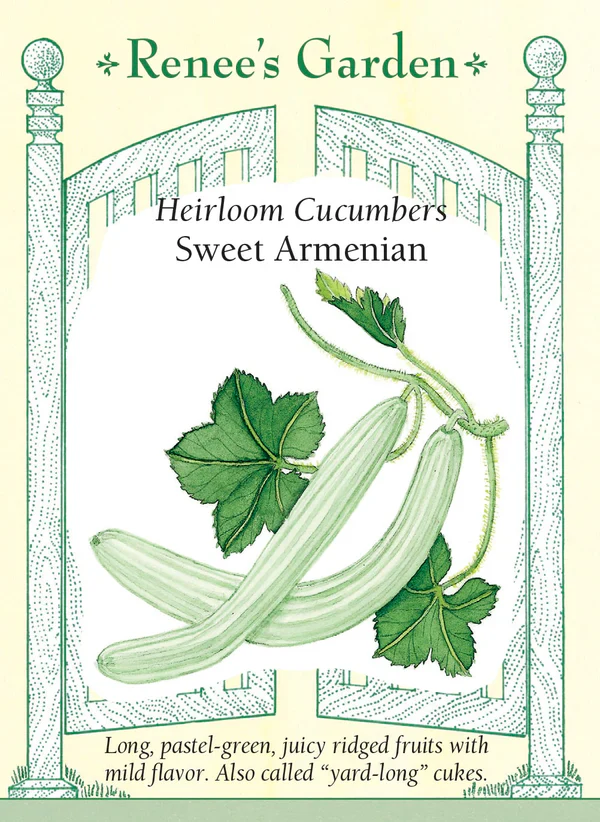 Cucumber Sweet Armenian - Renee's Garden