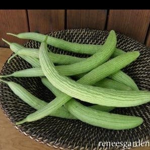 Cucumber Sweet Armenian - Renee's Garden - Image 2