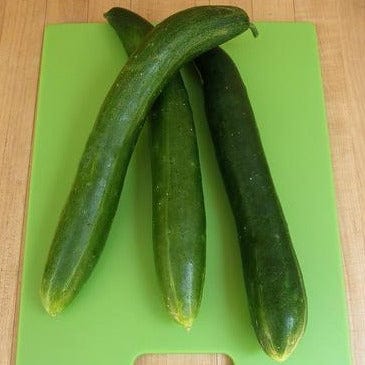 Organic Cucumber Tasty Treat Slicer - Renee's Garden - Image 2