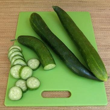 Organic Cucumber Tasty Treat Slicer - Renee's Garden - Image 3