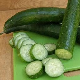 Organic Cucumber Tasty Treat Slicer - Renee's Garden - Image 4