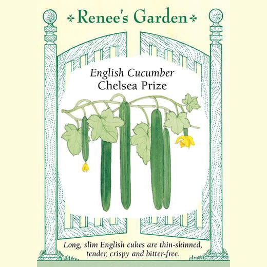 Cucumber Chelsea Prize - Renee's Garden
