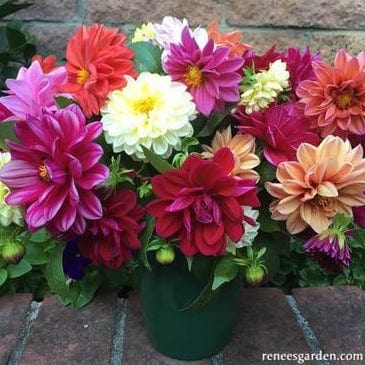 Dahlias Watercolor Silks - Renee's Garden - Image 3