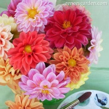 Dahlias Watercolor Silks - Renee's Garden - Image 5