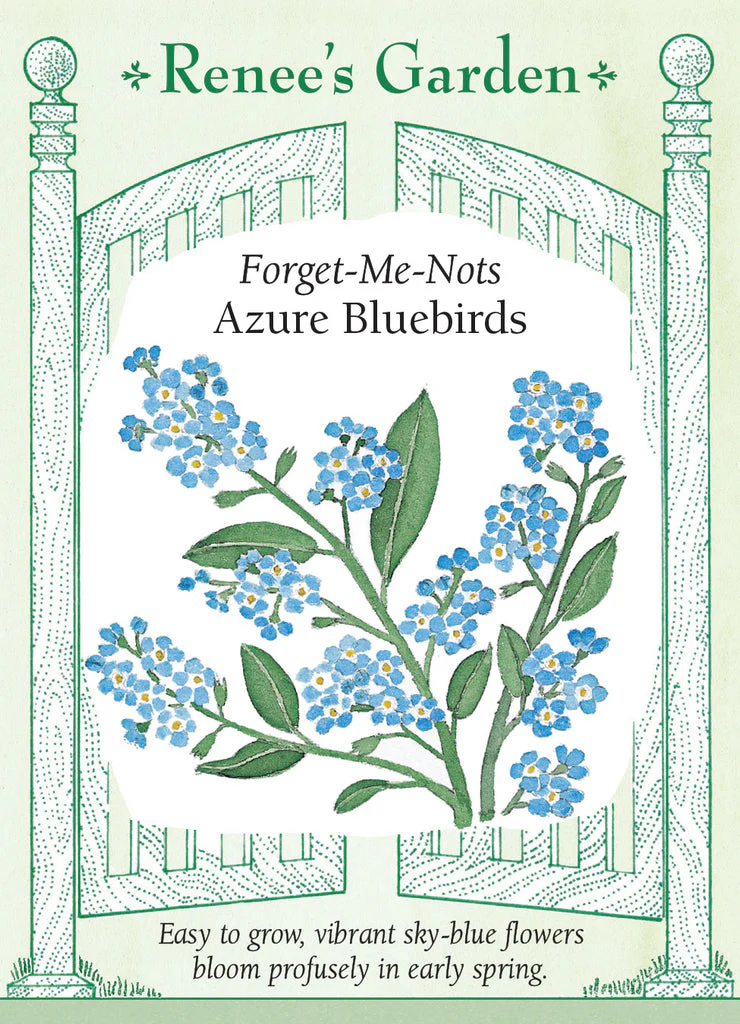 Forget-Me-Nots Azure Bluebirds - Renee's Garden