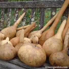 Bottles, Dippers & Bowls - Renee's Garden - Image 2