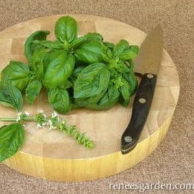 Basil Profumo di Genova - Renee's Garden - Image 2
