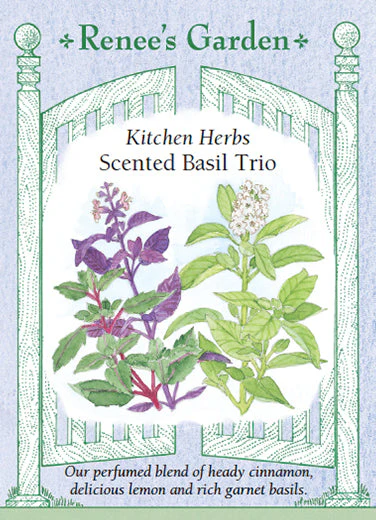 Basil Scented Trio - Renee's Garden