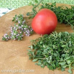 Thyme Creeping - Renee's Garden - Image 5