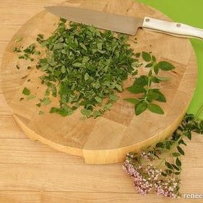Oregano Italian Heirloom - Renee's Garden - Image 3