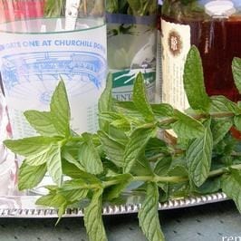 Spearmint Heirloom - Renee's Garden - Image 3