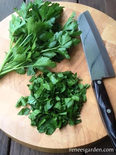 Organic Parsley Italian Large Leaf - Renee's Garden - Image 3