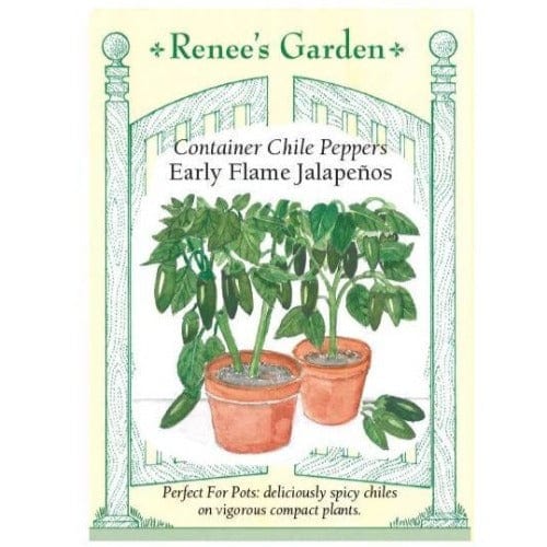 Pepper Early Flame Jalapeños - Renee's Garden