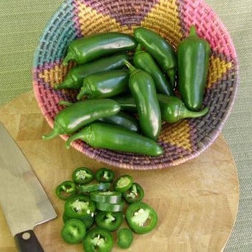 Pepper Early Flame Jalapeños - Renee's Garden - Image 3