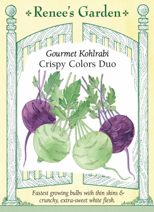 Kohlrabi Crispy Colors Duo - Renee's Garden