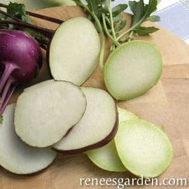 Kohlrabi Crispy Colors Duo - Renee's Garden - Image 3