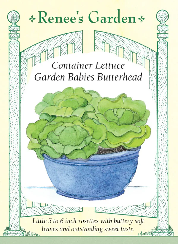 Lettuce Garden Babies Butterhead - Renee's Garden