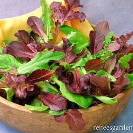 Lettuce Sweet Greens & Reds - Renee's Garden - Image 3