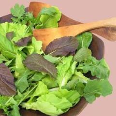 Mesclun Asian Baby Leaf - Renee's Garden - Image 3