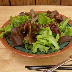 Mesclun Monet's Garden - Renee's Garden - Image 3