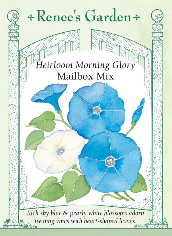 Morning Glory Mailbox Mix - Renee's Garden