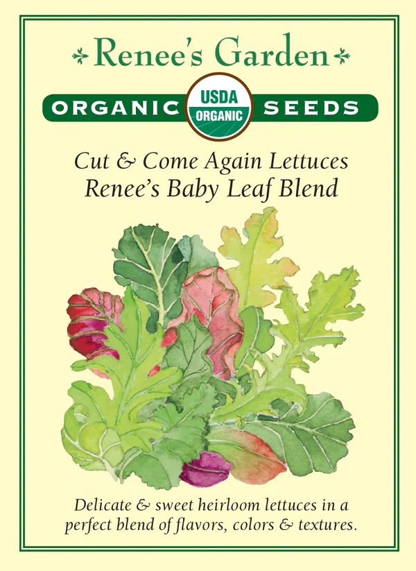 Organic Mustard Cut & Come Again - Renee's Garden