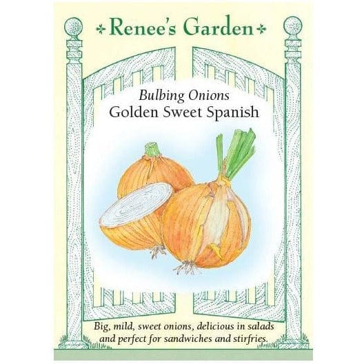 Onion Golden Sweet  Spanish - Renee's Garden