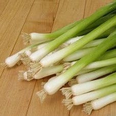 Onion Parade - Renee's Garden - Image 3