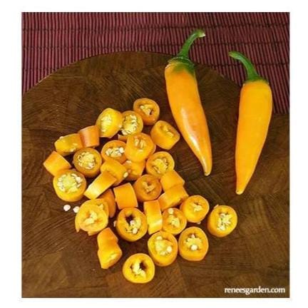 Pepper Bulgarian Carrot - Renee's Garden - Image 3