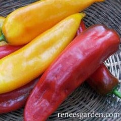 Pepper Corno di Toro Mix - Renee's Garden Seeds - Image 2