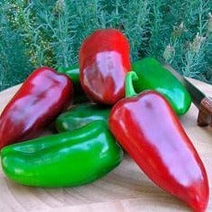 Pepper Pizza My Heart - Renee's Garden - Image 7
