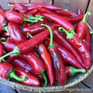 Pepper Hungarian Magyar - Renee's Garden - Image 3