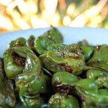 Pepper Spanish Padron - Renee's Garden - Image 4