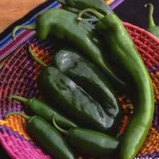 Pepper Southwestern Chile Trio - Renee's Garden - Image 3