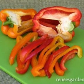 Organic Pepper Orange Sun & Jupiter - Renee's Garden - Image 2