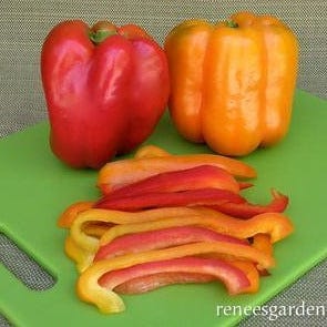 Organic Pepper Orange Sun & Jupiter - Renee's Garden - Image 3