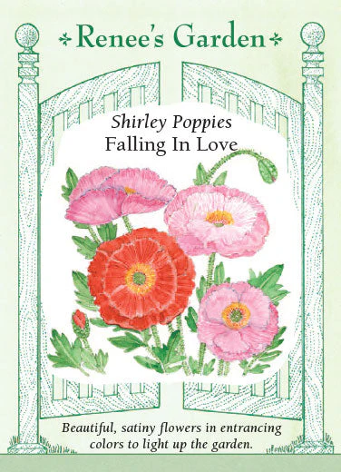 Poppy Falling in Love - Renee's Garden