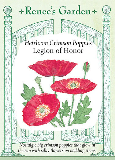 Poppy Legion of Honor - Renee's Garden