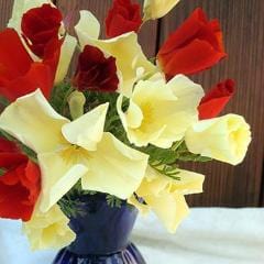 California Poppy Tequila Sunrise - Renee's Garden - Image 3