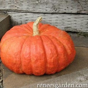 Pumpkin Cinderella's Carriage - Renee's Garden - Image 4