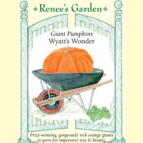 Pumpkin Wyatt's Wonder - Renee's Garden