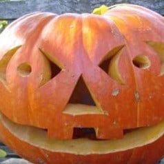 Pumpkin Wyatt's Wonder - Renee's Garden - Image 4