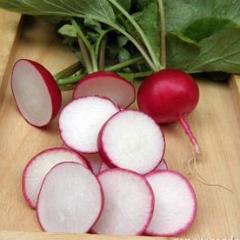 Organic Radish German Giant - Renee's Garden - Image 5