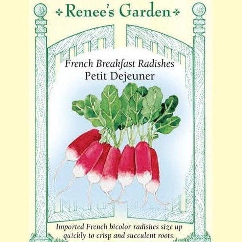 Radish Petit Dejeuner - Renee's Garden