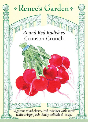 Radish Crimson Crunch - Renee's Garden