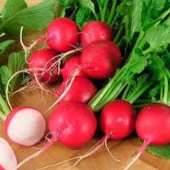 Radish Crimson Crunch - Renee's Garden - Image 2