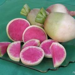 Radish Watermelon - Renee's Garden - Image 4