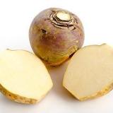 Rutabaga Improved Helenor - Renee's Garden - Image 4