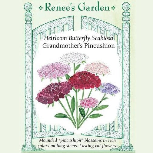 Scabiosa Grandmother's Pincushion - Renee's Garden